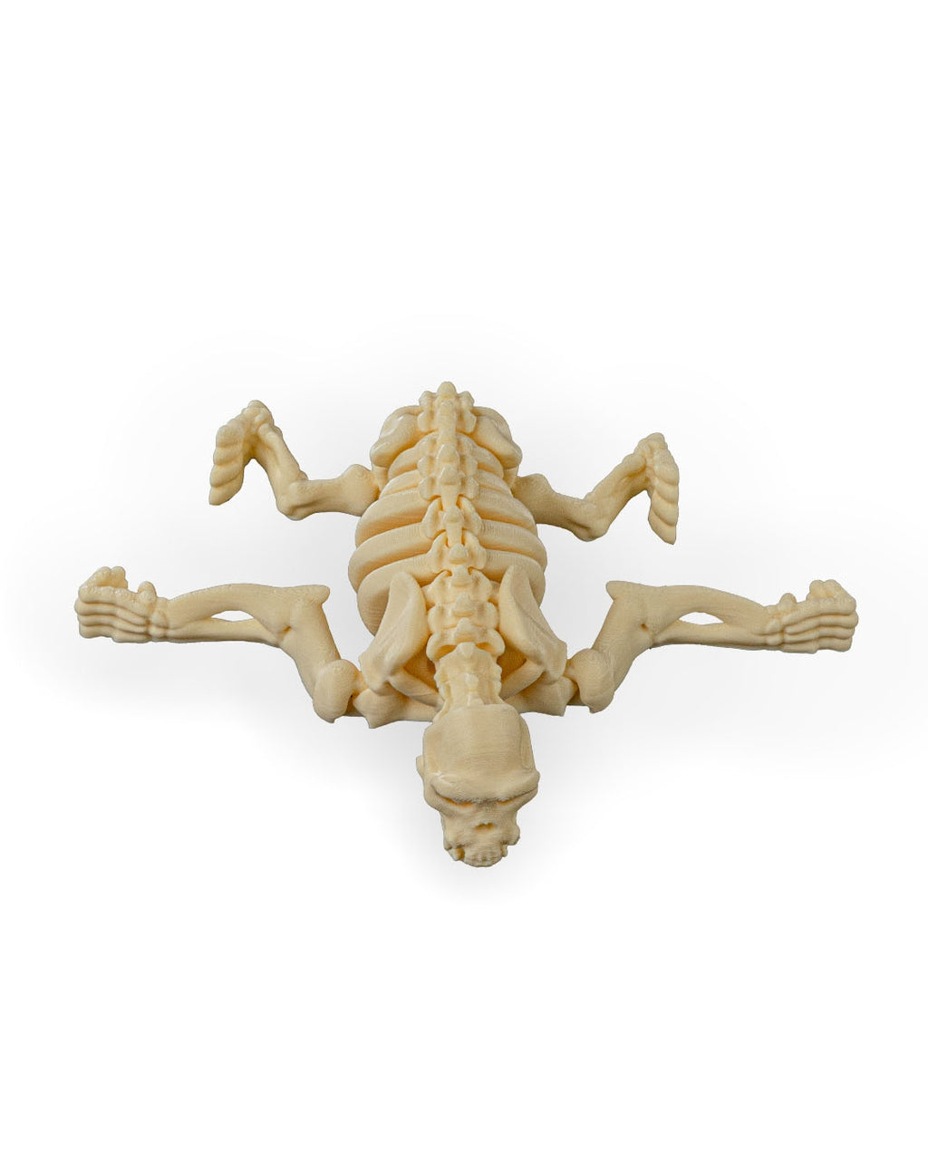 Skeleton Chimp