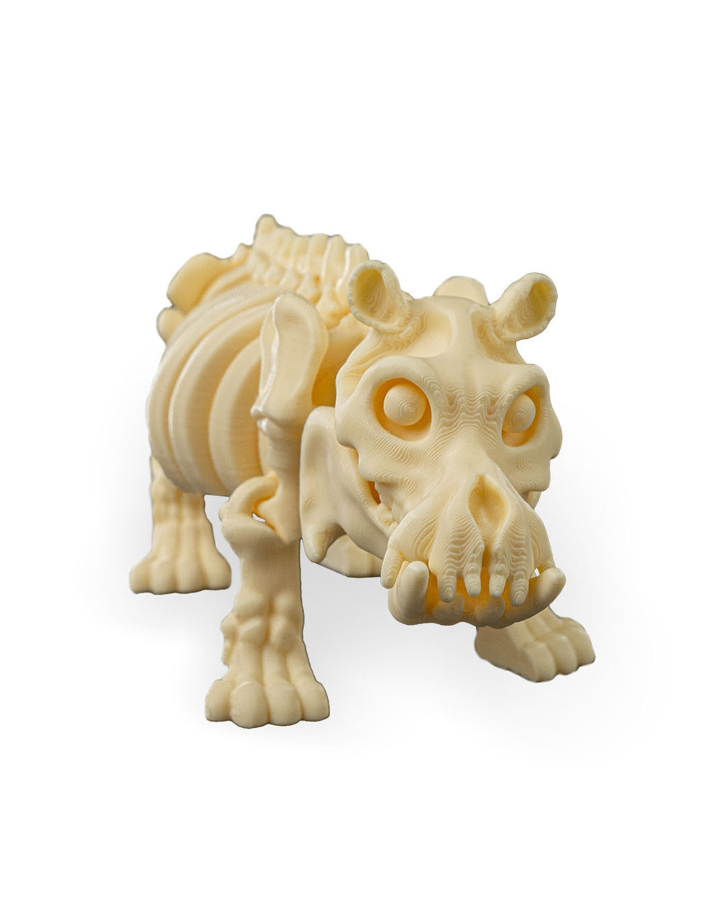 Skeleton Hippo