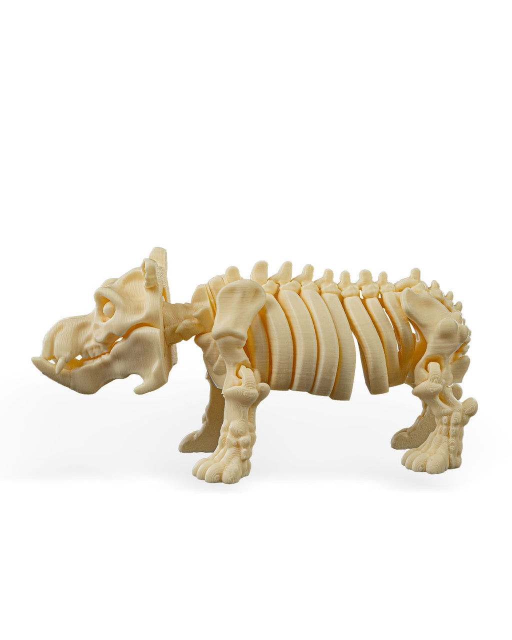 Skeleton Hippo
