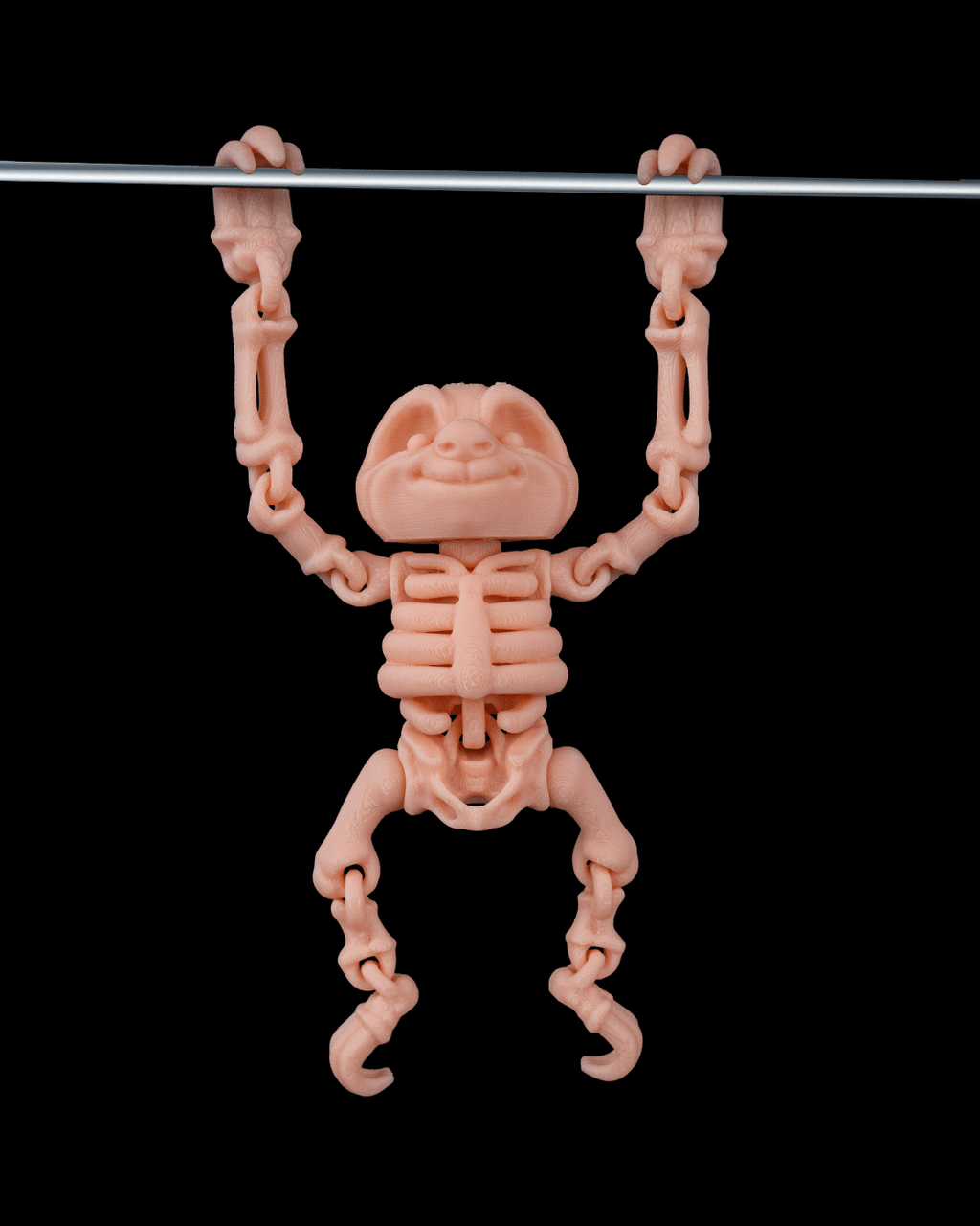 Skeleton Sloth
