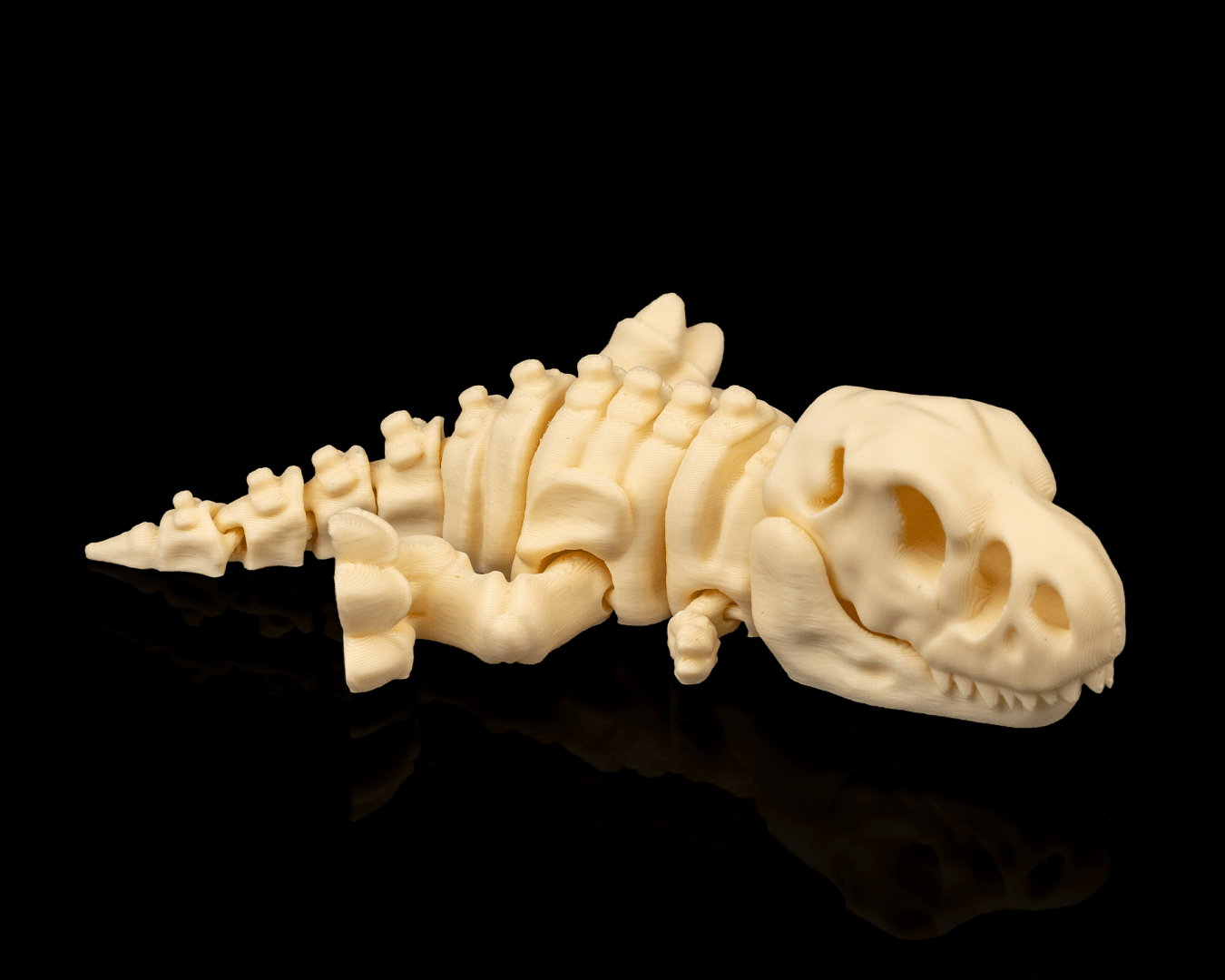 Skeleton T-Rex