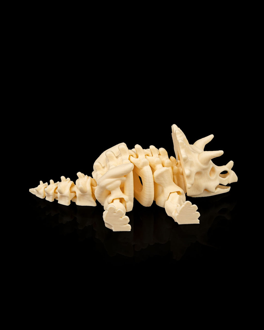 Skeleton Triceratops
