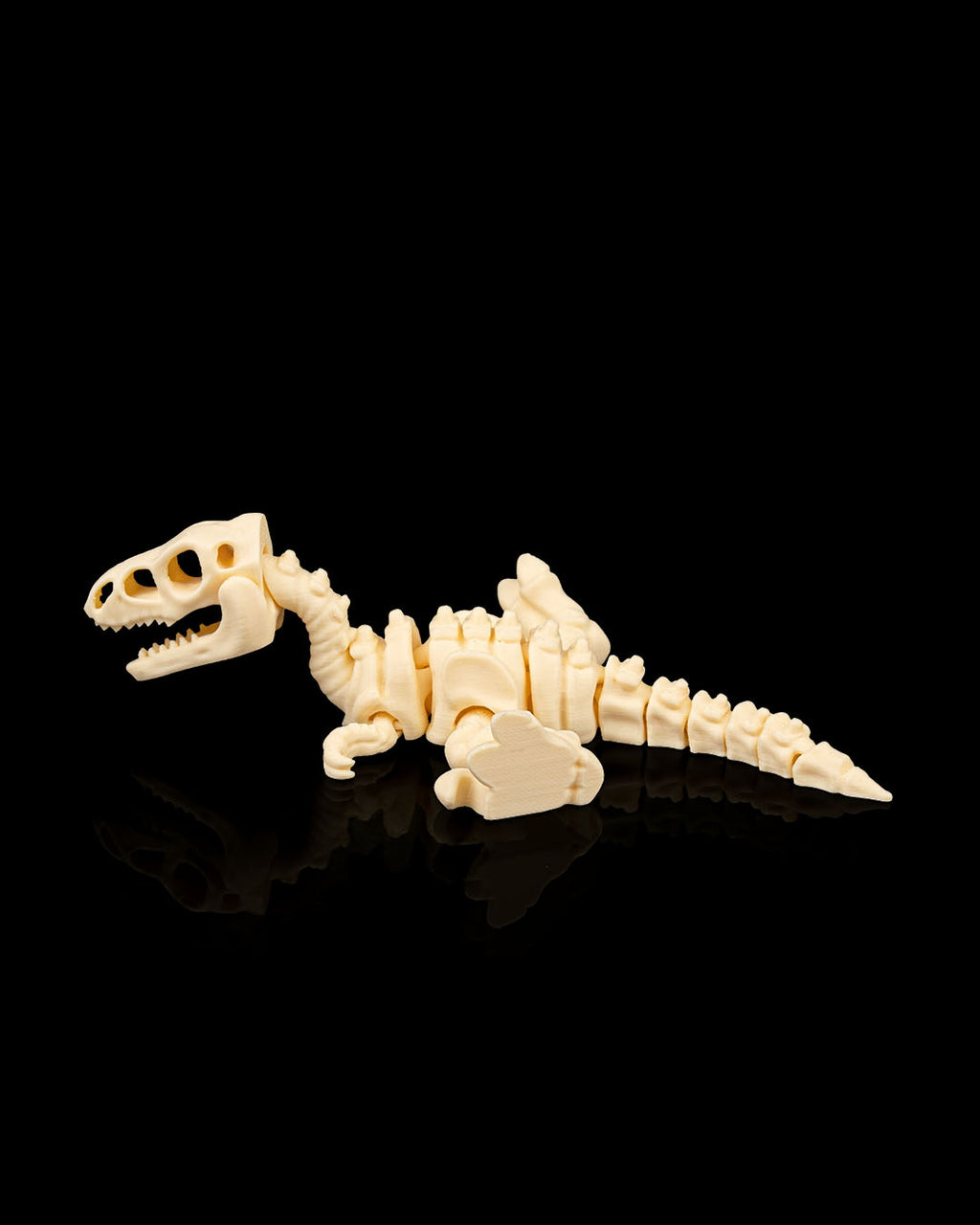 Skeleton Velociraptor